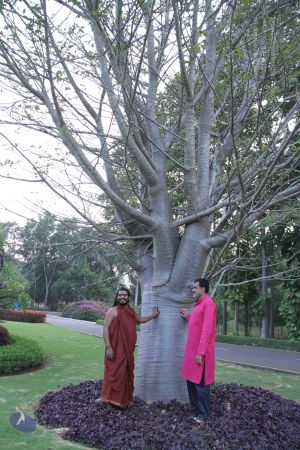 20171125 Photo 1076 1dSGzCIjQdsuhCZZ2uTtuImoSzoQkOpu8.JPG