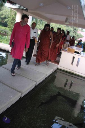 20171125 Photo 1088 1h6 Vy5MvPmvs5JIejEJ5 FbFgfD2GdtT.JPG