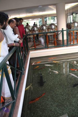 20171125 Photo 1091 1RGzKY8zp6SVgk8QnIHaefgwXCMxkPAzI.JPG