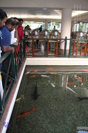 20171125 Photo 1092 1xl7soXFtaedT-8hPExKRgpbje2nUNoMf.JPG