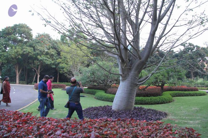 20171125 Photo 1697 1 0DciKY02hQca84pmWsKQ1Lj85MmDdUa.JPG