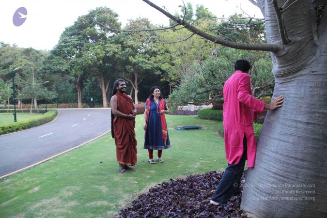 20171125 Photo 1704 1yn47Si67kNoGaMCI8ZCHndHUVmewtrHc.JPG