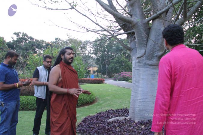 20171125 Photo 1716 1bdwLJSp8KDeIwOBnn7yLXsju1uHWJU2B.JPG