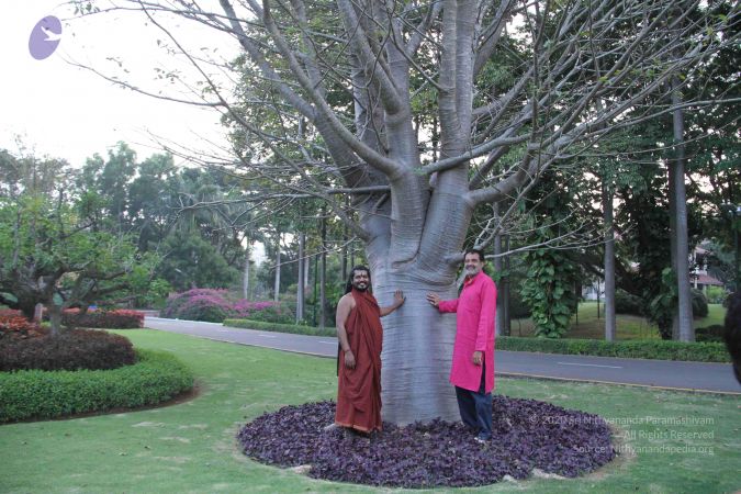 20171125 Photo 1719 1TmdGDRW2h-S2eItQR44ffwUjIngxtZXW.JPG