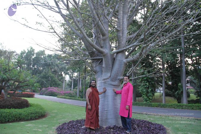 20171125 Photo 1720 1eDmlm7VwmlnCEBxS0eqtAKH3wF11KCBC.JPG