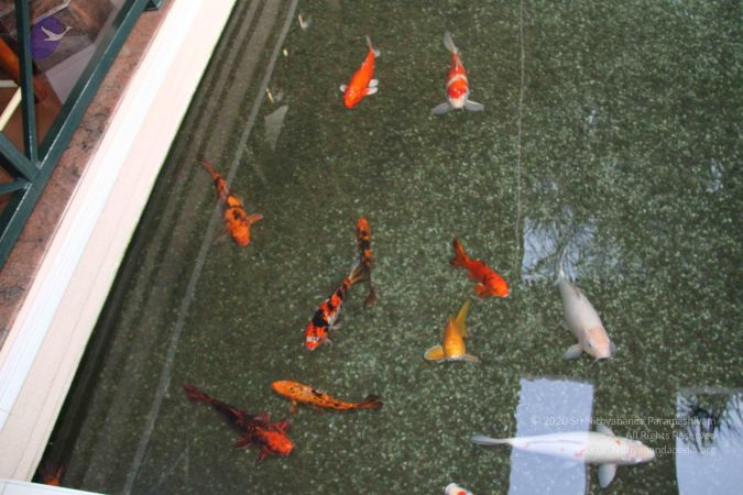 20171125 Photo 1763 1fB03xf9m9TiEDmdbINjXQ99apQEofPsi.JPG