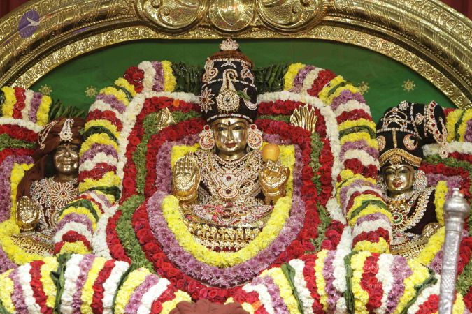 20171127 Photo 1356 1rGHn3pSE4iXgUCCSF 2h3NtbyK-VYX-q.JPG