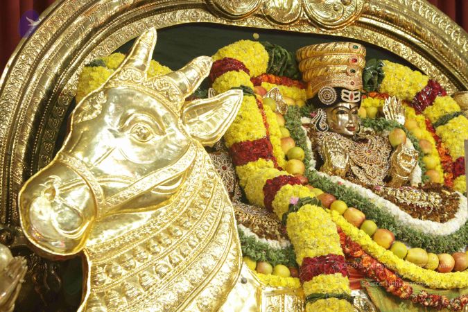 20171128 Photo 1208 1cwaAUYmKBN6hpomxzrCDsmvLgIsV7eZa.JPG