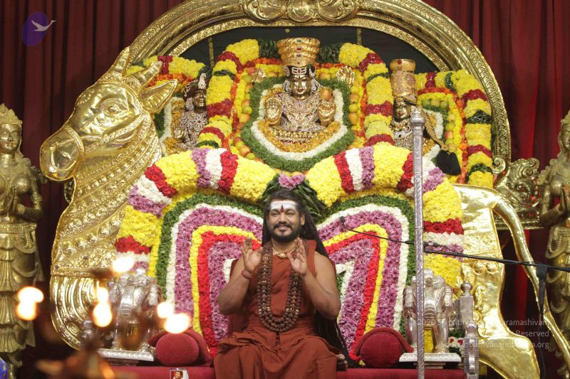 File:20171128 Photo 1305 15308tt7D2NnZMv55llpx2pwoNZsoASfN.JPG