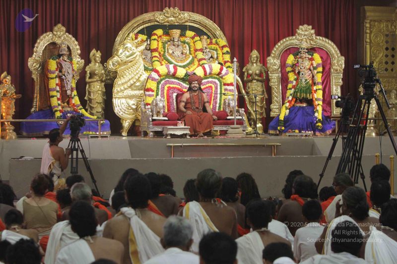 File:20171128 Photo 1339 1r QpA7SwplLhJOe2vRqj-guj2SPKpmz7.JPG