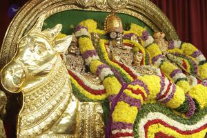 20171129 Photo 1098 1MaVhS34xXCjC3ffb7s1uonK8A5X721Im.JPG