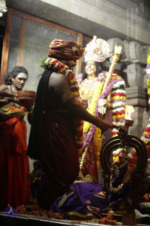 20171202 Photo 1050 1hUExJwBsecdU6hS7ERn3tTH6PVl0sdcp.JPG