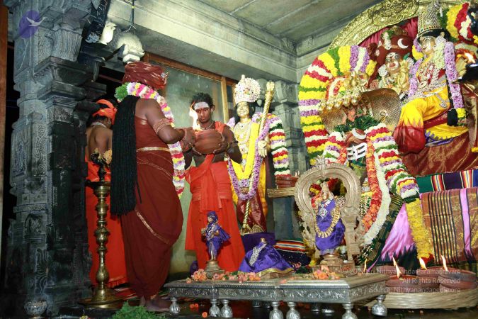 20171202 Photo 1150 1nZ3siy28Q9EwGUy6vMkiItM0d6j31b4-.JPG