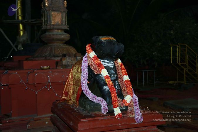 20171202 Photo 1205 10HaBdF0f1tQtj0Ea1b4ERtiykrRNtBiy.JPG