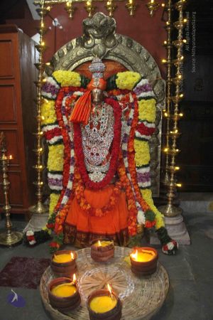 20171202 Photo 1239 15C1NWjXMFSkm5FC0eZKZfWWO1N1WK8nu.JPG