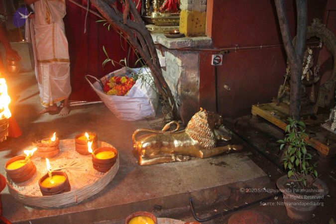 20171202 Photo 1248 1OAXQPWHEEG5DJ5jtWdYojo1xaiO-T881.JPG