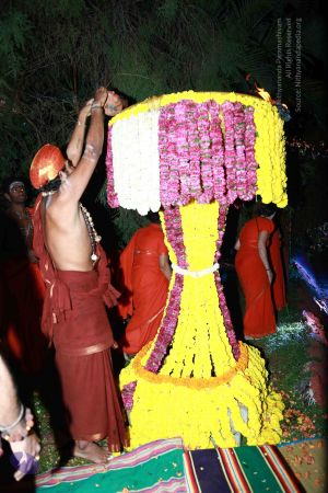 20171202 Photo 1640 1BUEzCTs2xDrD1qwGz8VdcdodE6vfOprx.JPG