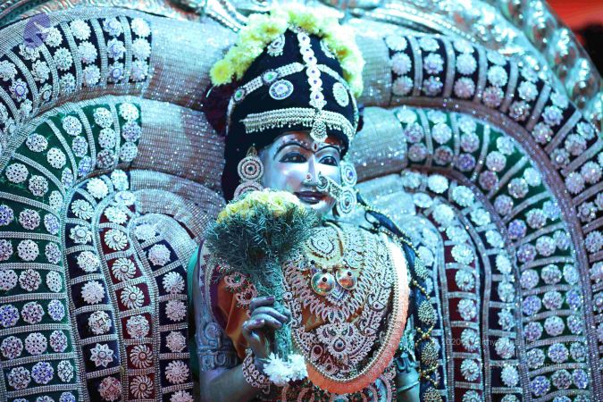 20171212 Photo 1012 1sDb8XeJe4ZixIPEjBuGC8FT0vll3Tzt7.JPG