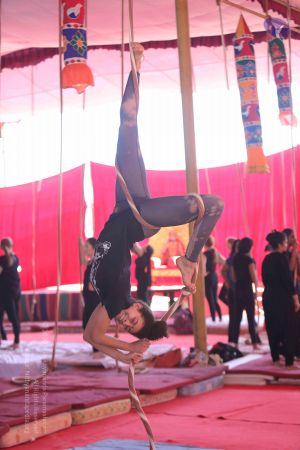 20171212 Photo 1069 1pXPIIcYrjZvL8UCzbj-Id6AYKWm2clzr.JPG