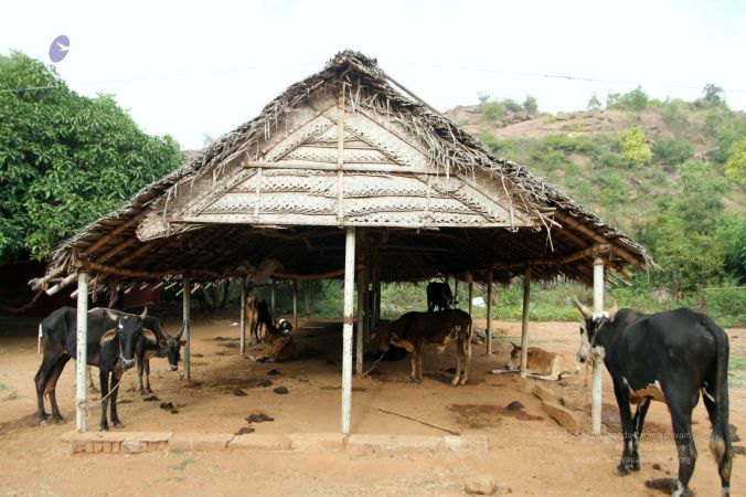 20171215 Photo 1012 1FFaJ9Igt9Vn8E0EobchUsaYNAUJfoilb.JPG