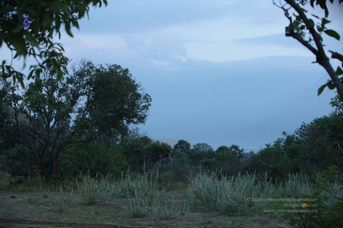 20171215 Photo 1159 1uHQSuLvMqhGz3RivsDHsjTfnMQ1pqIXp.JPG