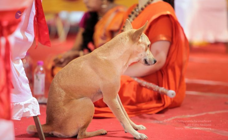 20171215 Photo 1760 1ZUdOgs1yVM9-sgINUSzcau3QprNH1rAy.JPG