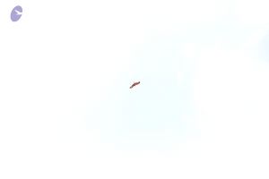 20171216 Photo 1899 1HuJVVt6utX1SJQ2NgndJaMOIB7gL5UGF.JPG
