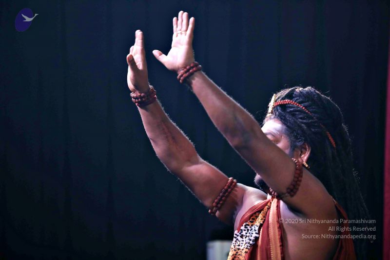 File:20171218 Photo 3679 1t619UIyFI4 JbMcofsNHdrcxdIxOT31q.JPG