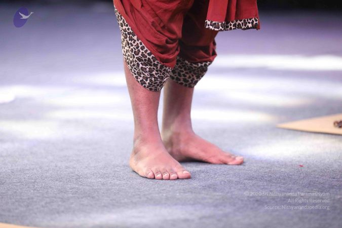 20171222 Photo 1047 1oVSSfWmydHgydxUm7B8nQjF4rmvlBzGK.JPG