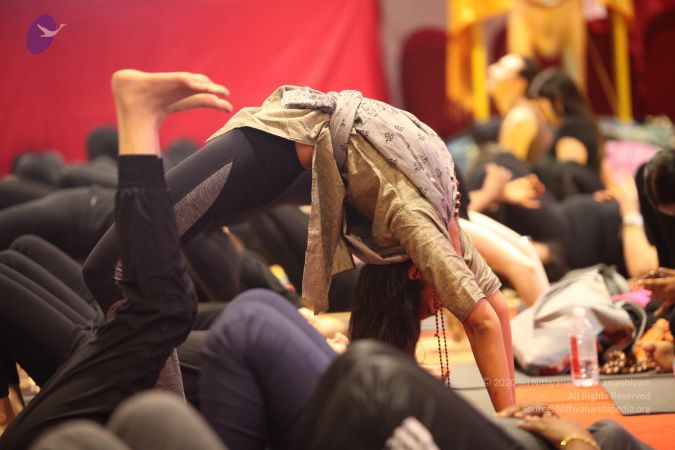 20171222 Photo 1132 1gM494WGIXE0Su2kzJPwfa8VI9bYt9IAZ.JPG