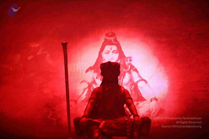 20171224 Photo 1359 1xXJfYKXNMF94Q-bguDrrLNhhXXzWJVs1.JPG