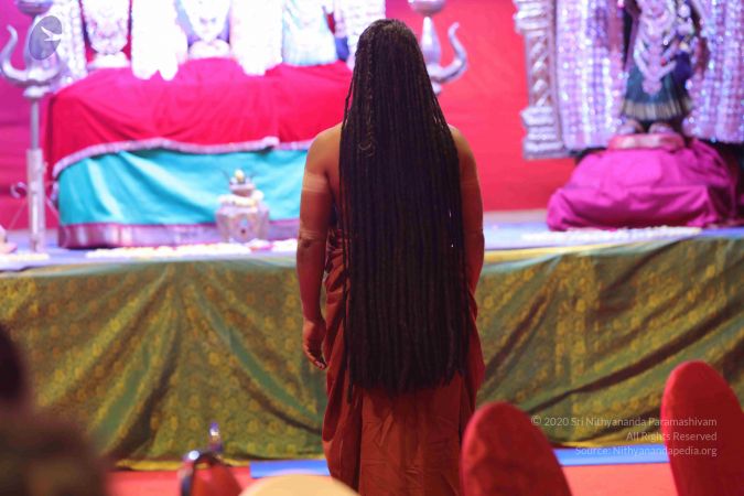 20171225 Photo 1407 1Wdz4IdQqiDgZa-1ufwsRs766FPQqXehH.JPG