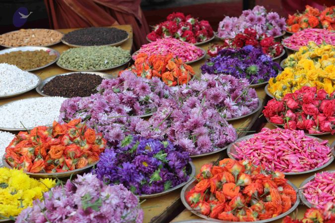 20171228 Photo 1018 1VDUq8u0k6hezGH3KwqGrgCs2-Zjev 0r.JPG