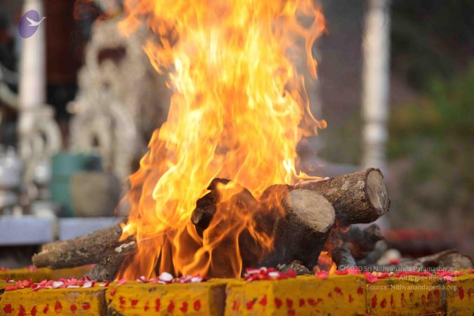 20171228 Photo 1144 1VYG1hu-Lge3NRQC53owSGPGOJRNGmkSR.JPG