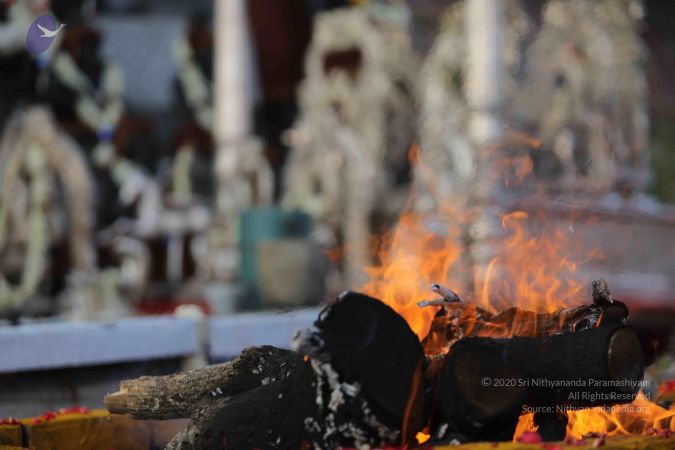 20171228 Photo 1171 105g5kRWPA-DWu-KbSboAxigc64SqP l4.JPG