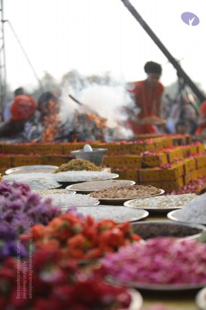 20171228 Photo 1194 1y05epqkVukicjkrnxnxGWCVPWGMDjIkW.JPG