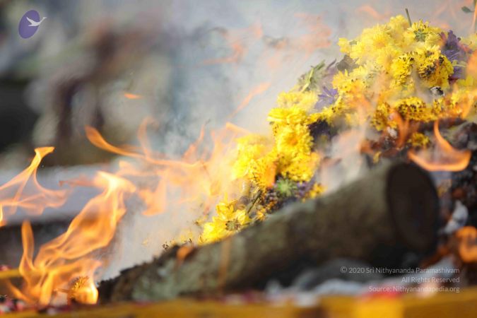 20171228 Photo 1228 1z9TMwLkeizWdKVdEIOfLprJXGQAtLp0Z.JPG