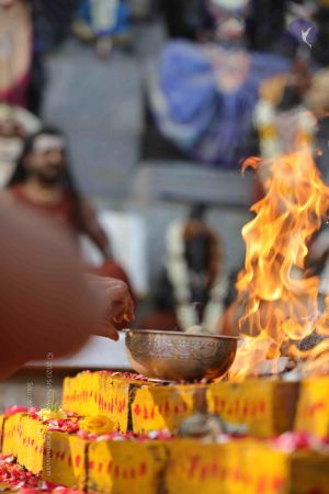 20171228 Photo 1241 1b4BDcs1E7iUKgqzDtBymacEmkCXX7B5z.JPG