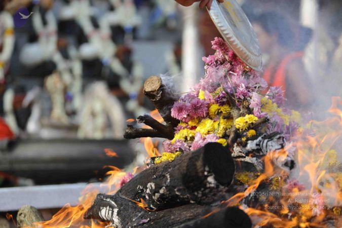 20171228 Photo 1251 1wK0uymZgXMnUxU8R 8fk05tNaaEefeE0.JPG