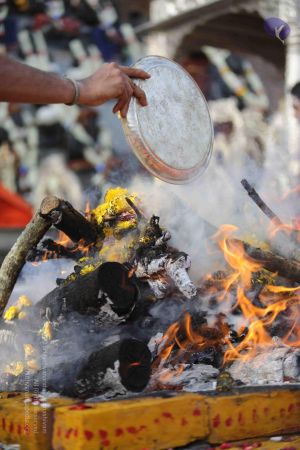 20171228 Photo 1257 1G4Rhd2UIU449dgoCYdrtkhF2juWeCf20.JPG