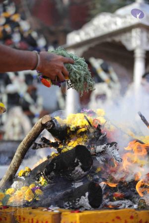 20171228 Photo 1260 1e7fM2uBJfK6BRS-IdBIqGYwnvdF7jGTD.JPG