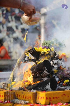 20171228 Photo 1264 1Ica4liQqqWHZj0rQqhklRmjMK1avCTp7.JPG