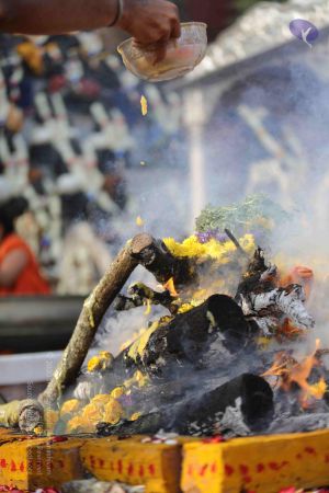 20171228 Photo 1268 1b8NFHlKVjApC-wurc4M3P5L1WUQwDM-6.JPG