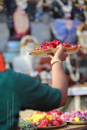 20171228 Photo 1271 1NdVnVn62tBgVq1-EnKYjxXXOU622jour.JPG