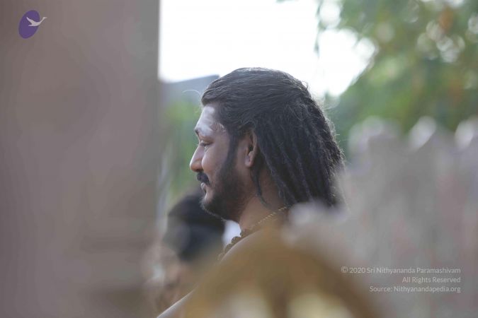 20171228 Photo 1303 1-hs49735LE11zNeiLftgPjDtqjGaSZe5.JPG