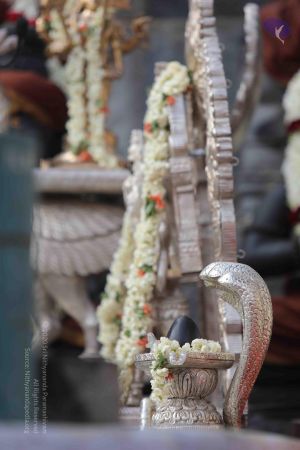 20171228 Photo 1329 1TvQFi1aRK4nvz4u3nSWnKoIv3zwsbJqk.JPG