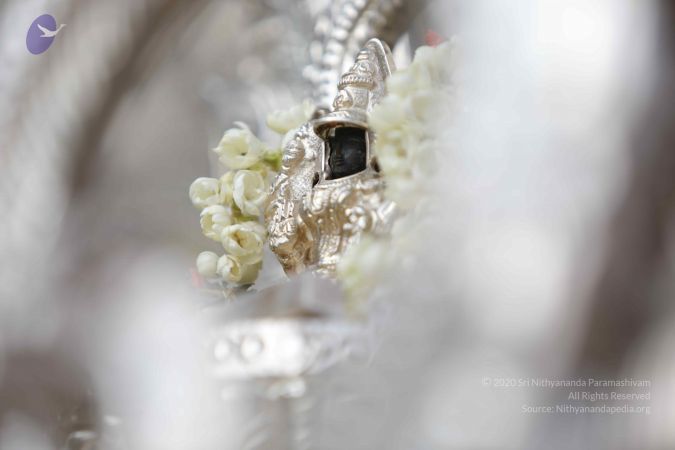 20171228 Photo 1330 15f86DRSlonam-LvIY0vFB67fn3PAF2nu.JPG