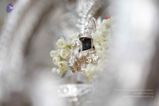 20171228 Photo 1331 1O8OXrvwVFQjjzXhMli4gB0LKS0yx7Zfw.JPG