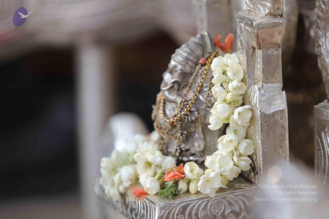 20171228 Photo 1341 1GvrvaYJj32ZeRK1KZH4K6BTpx5sn6S7z.JPG