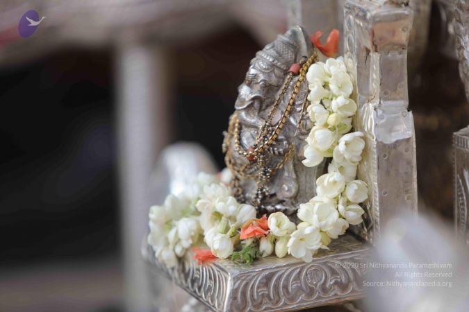 20171228 Photo 1342 10TyvT9tP5LgSfXSzlV0t5DCasEurqJ-l.JPG